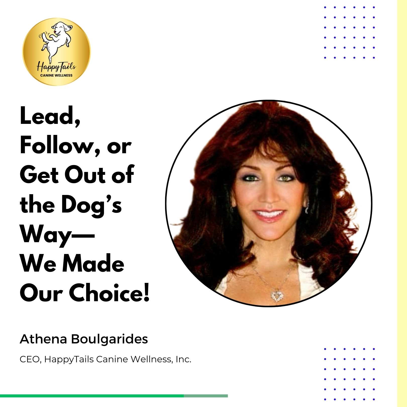 happytails canine wellness premium natural dog treats supplements made in usa blog