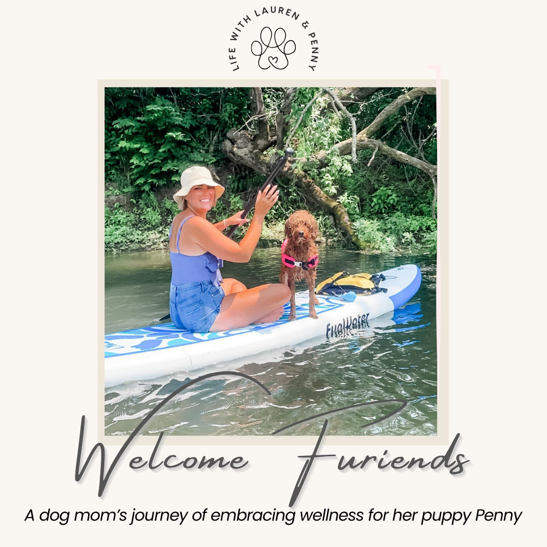 happytails canine wellness premium natural dog treats supplements made in usa blog