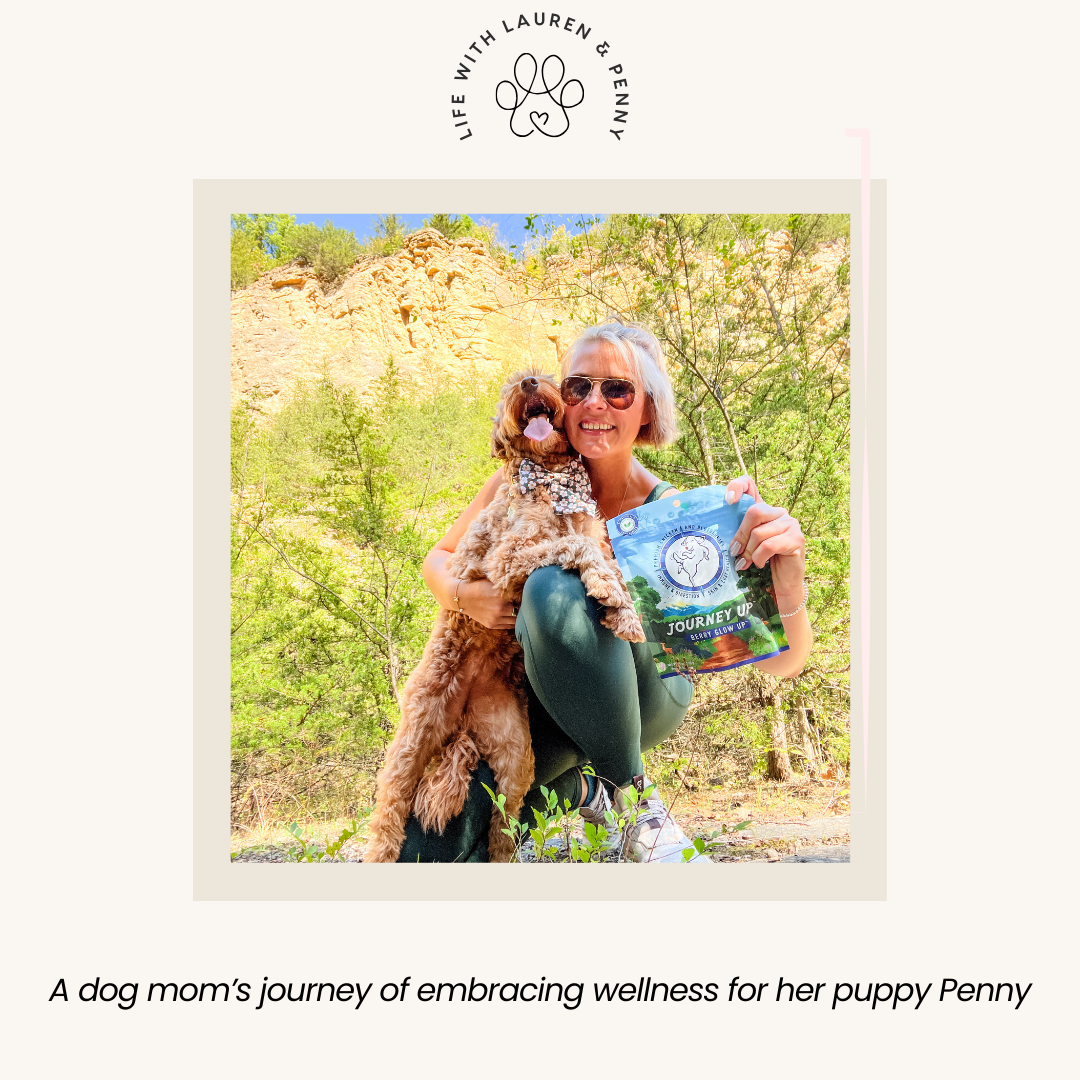 happytails canine wellness premium natural dog treats supplements made in usa blog