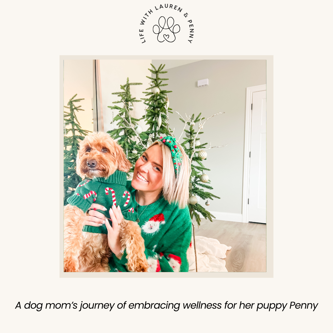 happytails canine wellness premium natural dog treats supplements made in usa blog