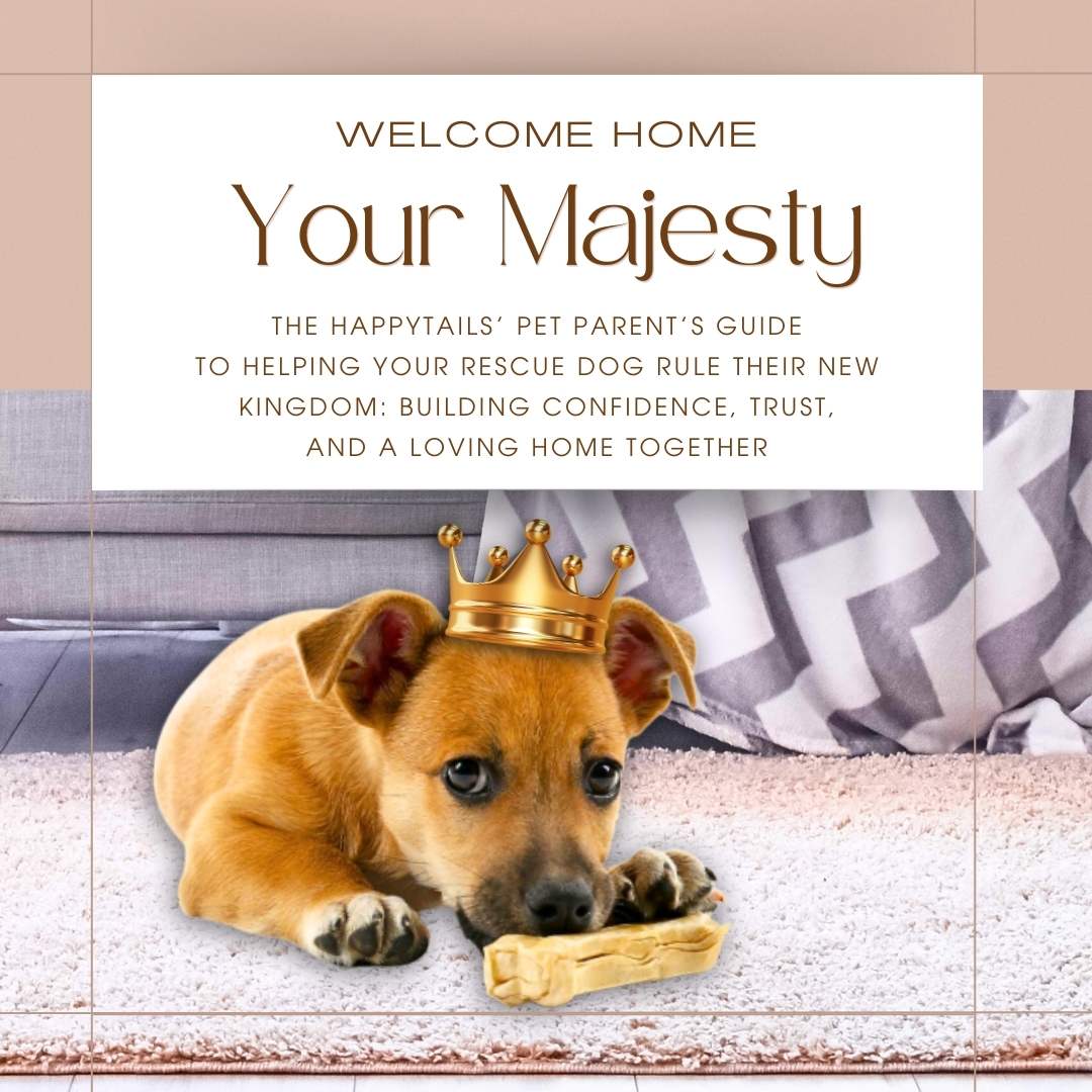 happytails canine wellness premium natural dog treats supplements made in usa blog