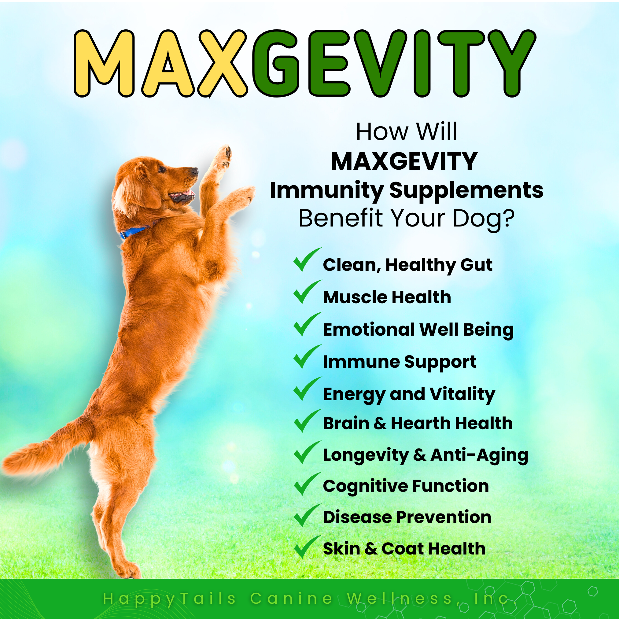 MAXGEVITY Immunity Formula - Digestive + Immunity