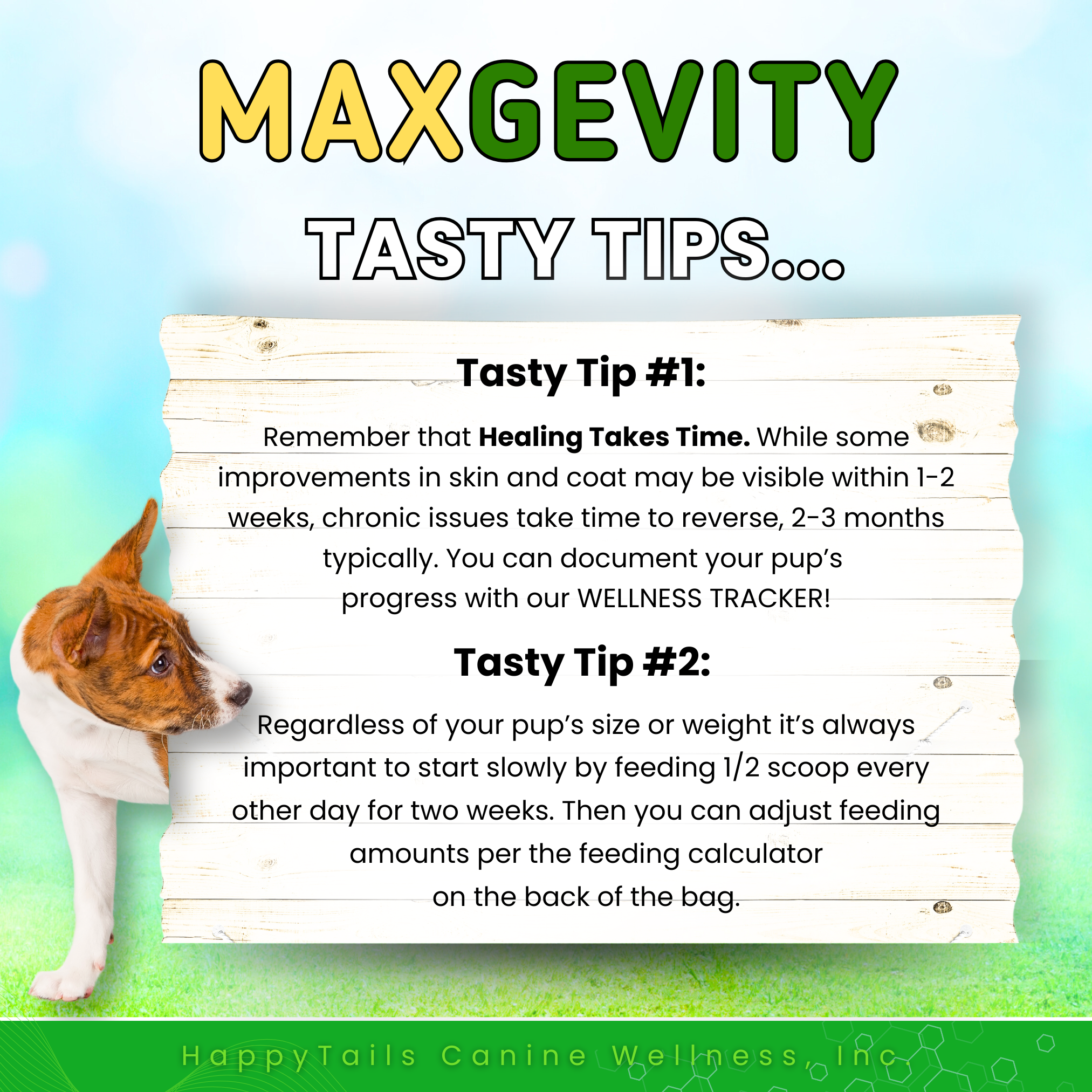 MAXGEVITY Mobility Supplements - Digestive + Joint Health