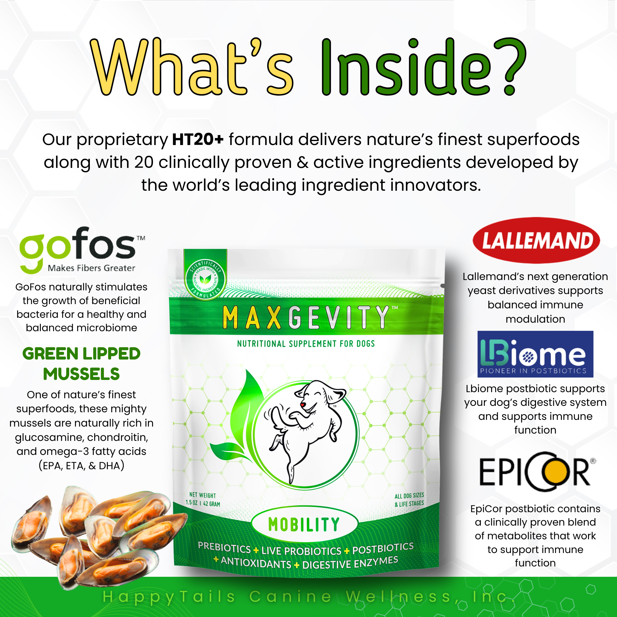 MAXGEVITY Mobility Supplements - Digestive + Joint Health