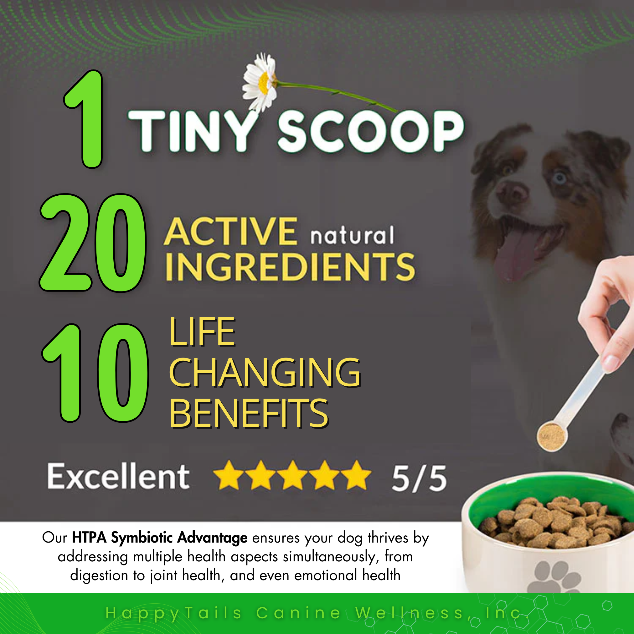 MAXGEVITY Mobility Supplements - Digestive + Joint Health