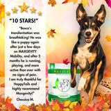 Load image into Gallery viewer, maxgevity immunity supplements, happytails canine wellness, immune support, ease allergy, itch relief for dogs, gut support for dogs, probiotics for dogs, postbiotics for dogs, prebiotics for dogs, digestive enzymes for dogs, mobility and joint support for dogs, glucosamine for dogs, joint pain relief for dogs