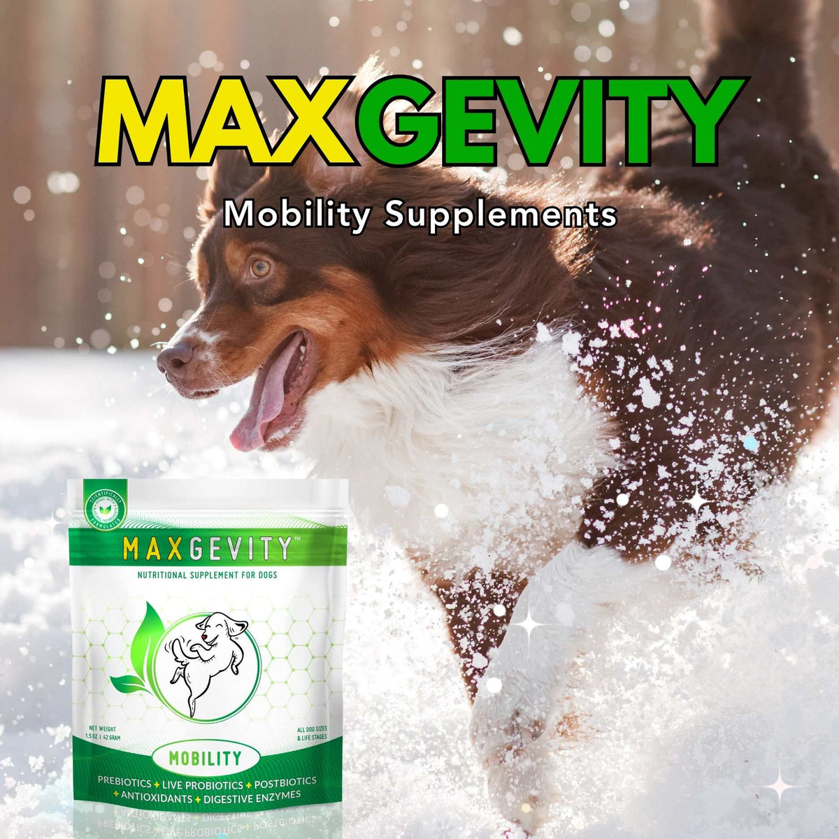 Dog store food supplement