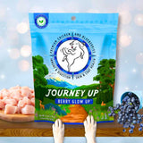 Load image into Gallery viewer, Journey Up™ Treats, Berry Glow Up, (Chicken, Blueberries, Prebiotics, Omega 3s &amp; 6s)