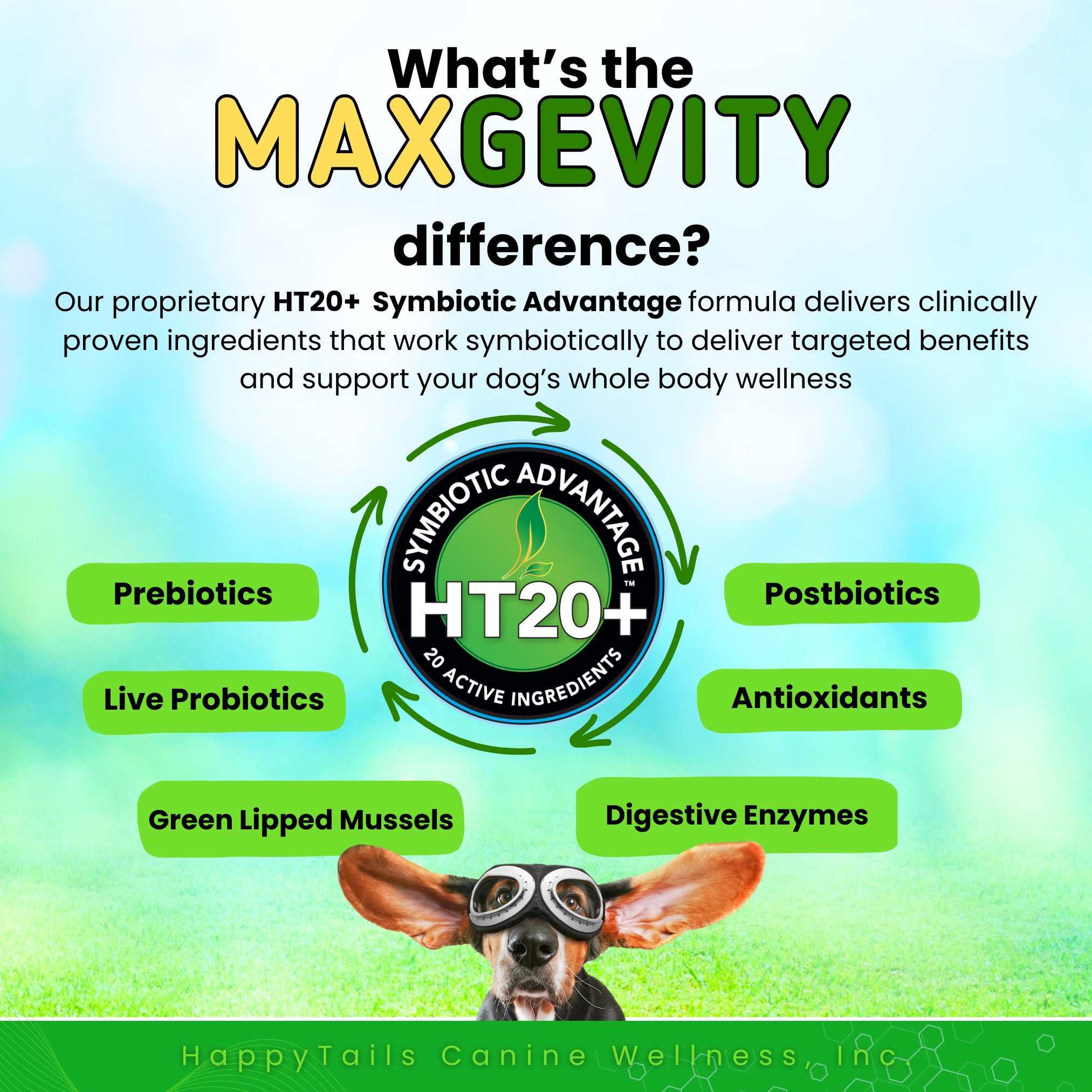 MAXGEVITY Mobility Supplements - Digestive + Joint Health