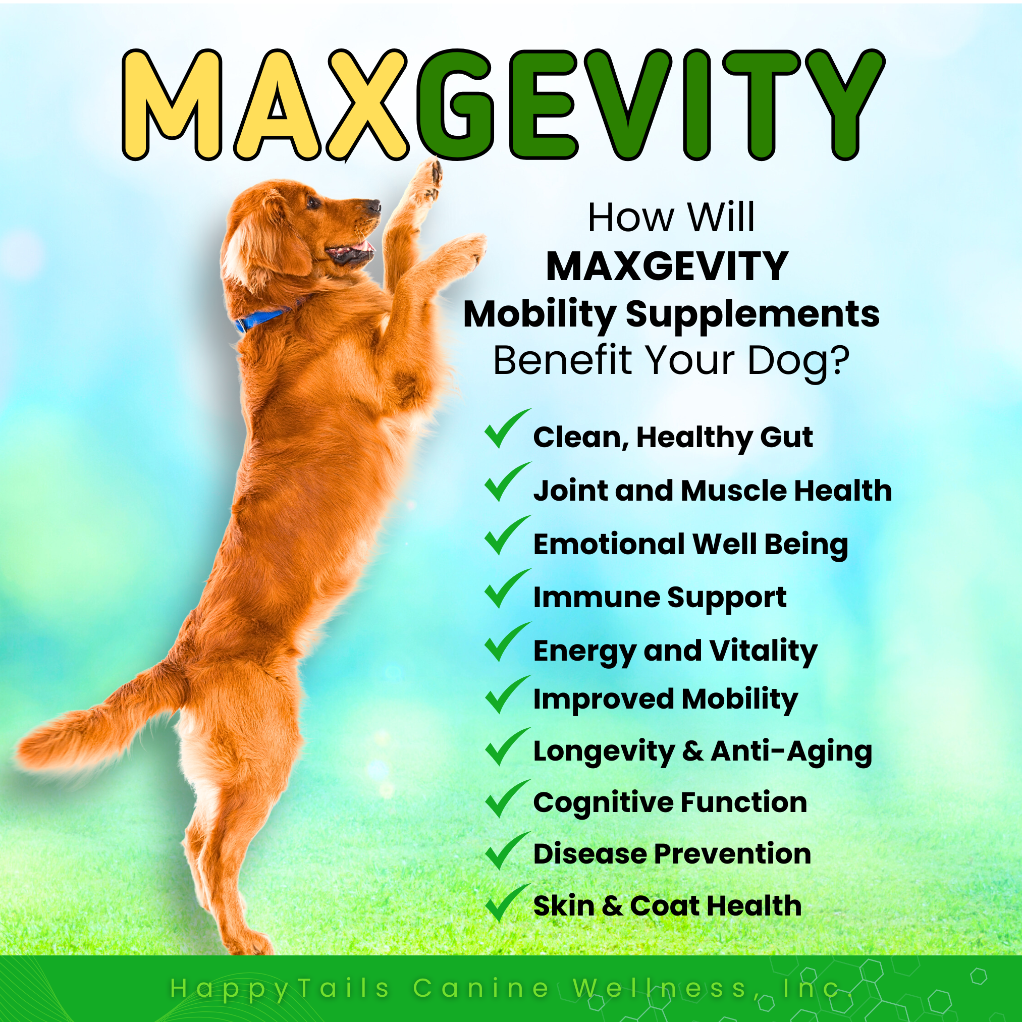 MAXGEVITY Mobility Supplements - Digestive + Joint Health