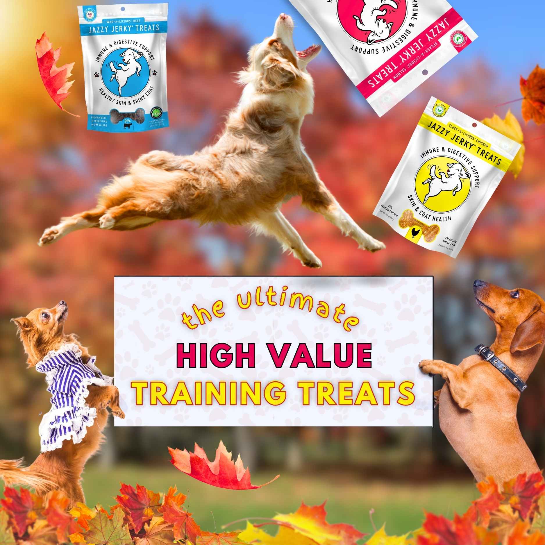 Jazzy Jerky® Treats, Wag-A-Licious Beef: 95% Beef, Prebiotics, Omega 3s & 6s