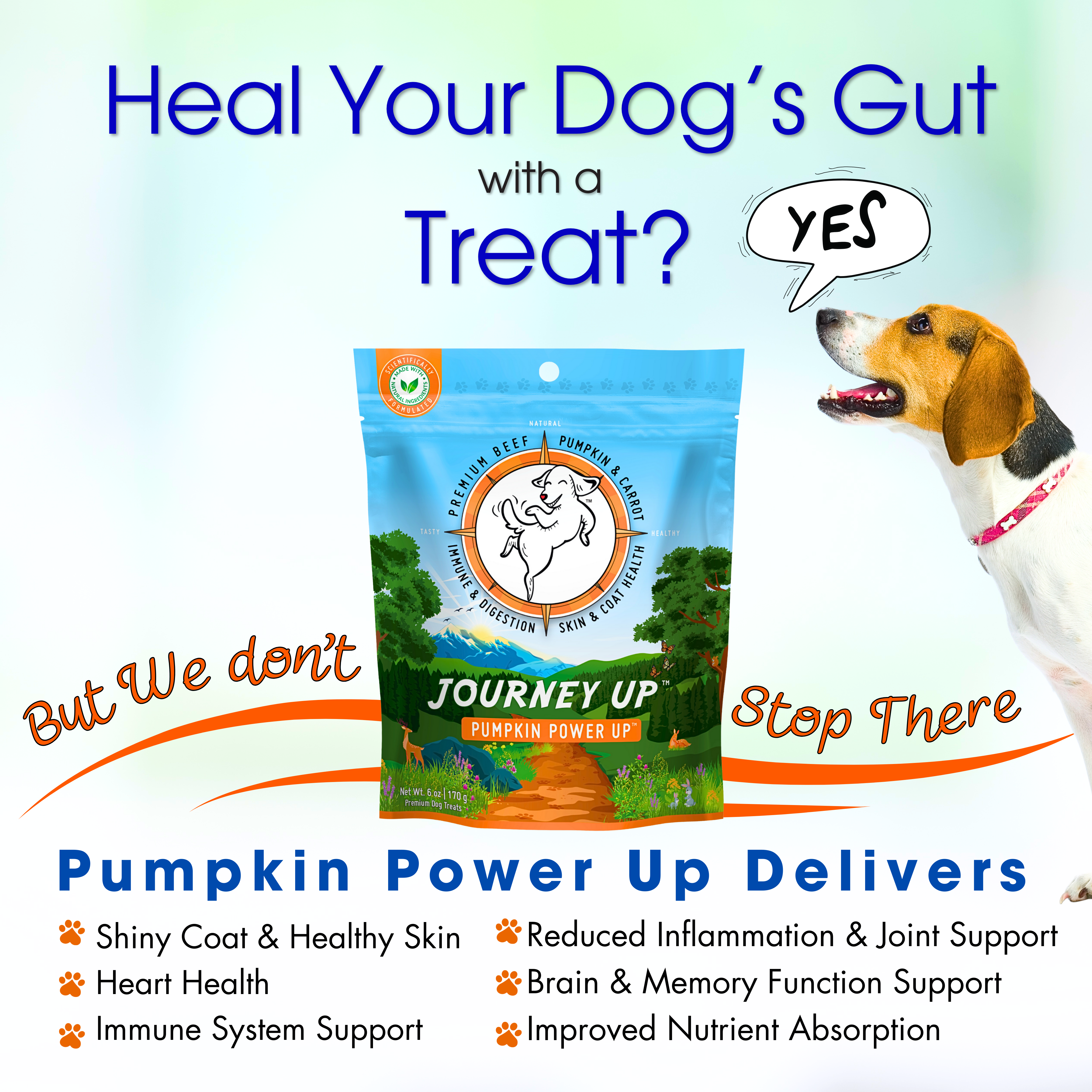 Journey Up Treats, Pumpkin Power Up: Beef, Pumpkin, Carrots, Prebiotics, Omega 3s & 6s (6 oz.)