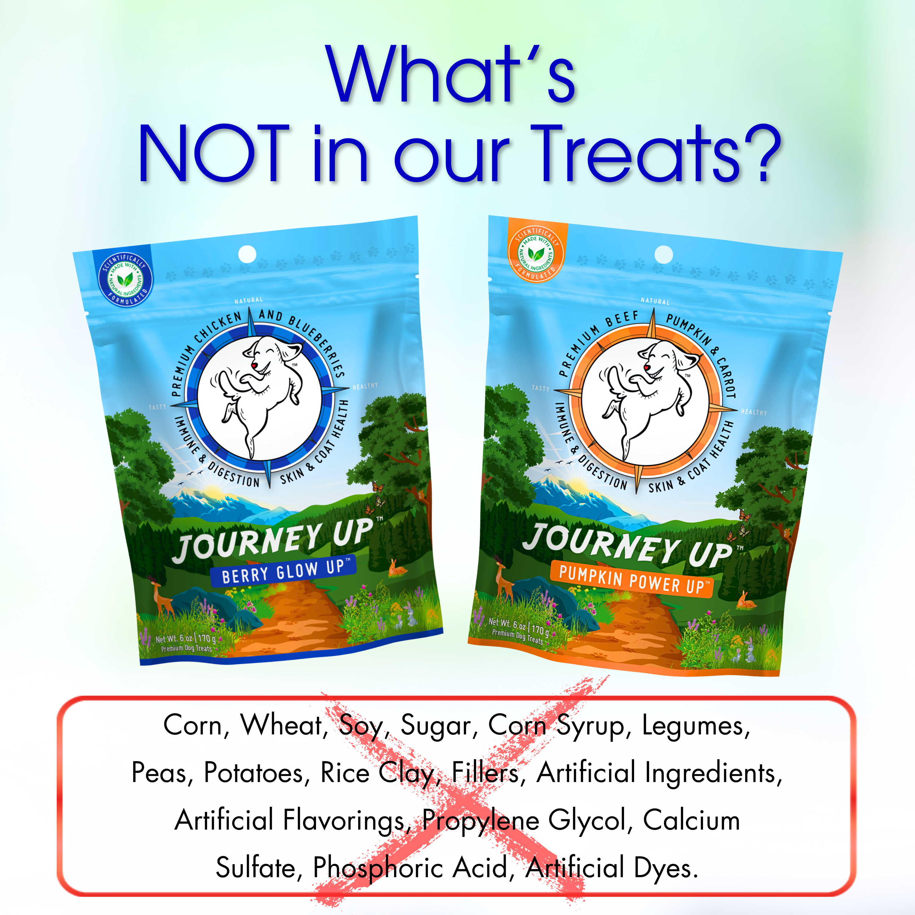 Journey Up Treats, Pumpkin Power Up: Beef, Pumpkin, Carrots, Prebiotics, Omega 3s & 6s (6 oz.)