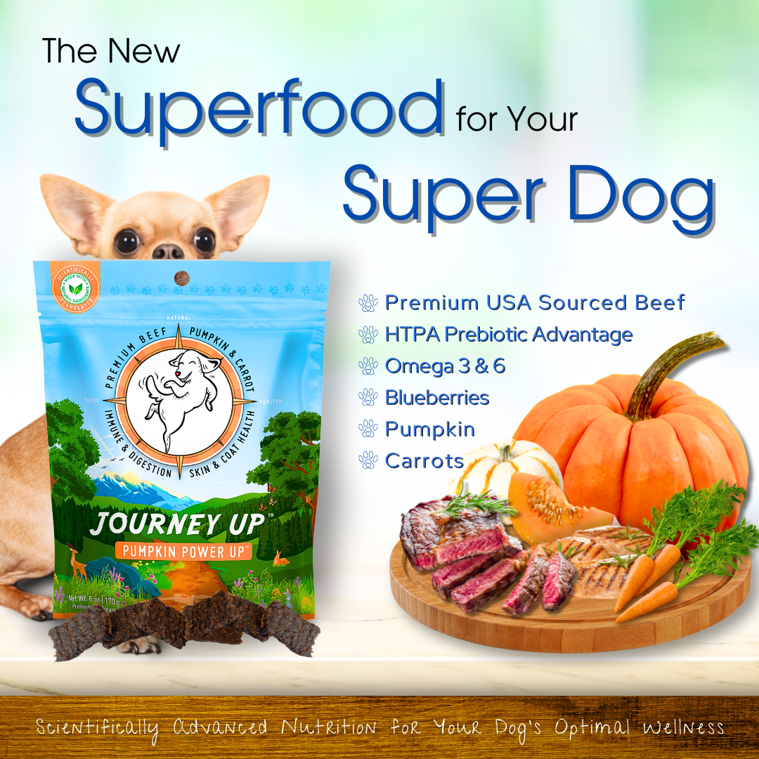 Journey Up Treats, Pumpkin Power Up: Beef, Pumpkin, Carrots, Prebiotics, Omega 3s & 6s (6 oz.)