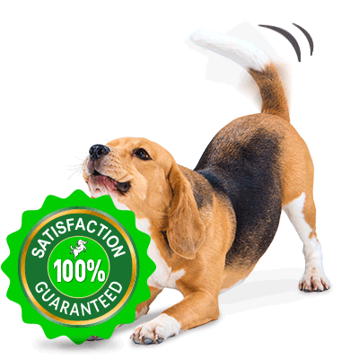 happytails canine wellness premium nutrition