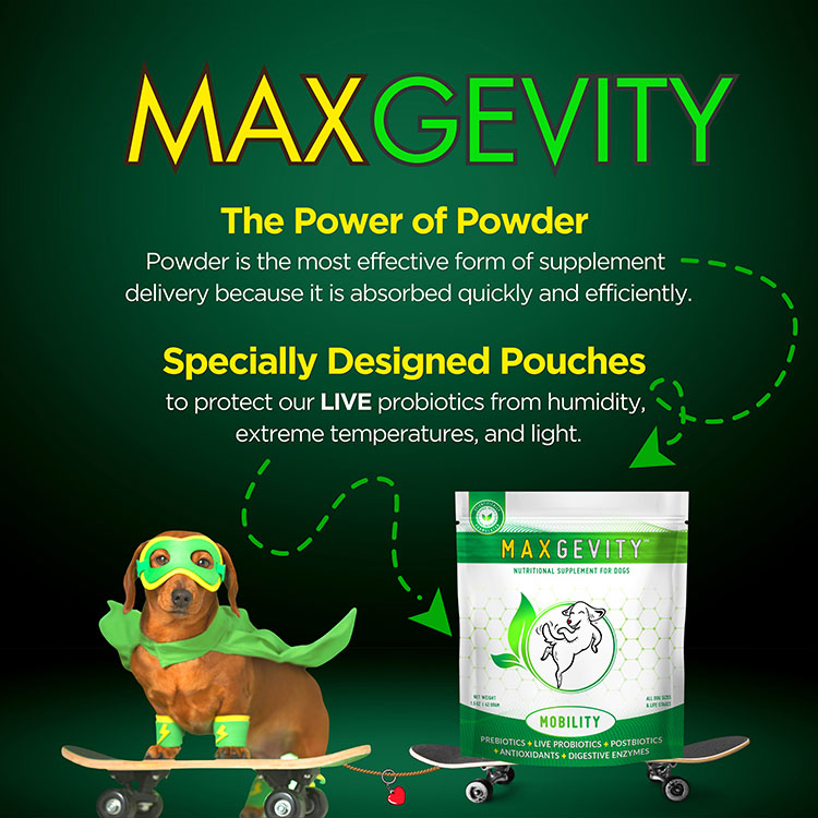 HappyTails Canine Wellness maxgevity immunity supplements for dogs immune digestive support skin coat health heart cognitive gut support live probiotics enzymes prebiotics postbiotics