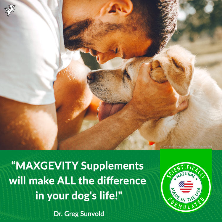 HappyTails, Canine Wellness, maxgevity, immunity, nutritional supplements for dogs, natural ingredients, immune support, gut health, digestive support, live probiotics, prebiotics, and postbiotics, antioxidants, made in usa, dr greg sunvold,