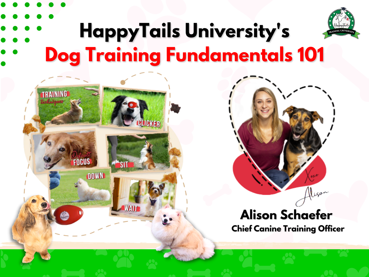 https://happytails-wellness.com/cdn/shop/articles/Alison_Happy_Training_2_1200x.png?v=1678144545