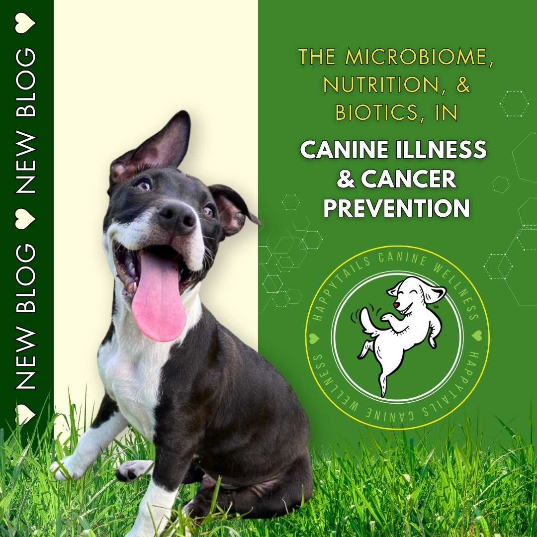 View of THE MICROBIOME, BIOTICS, AND CANCER PREVENTION – HappyTails Canine Wellness