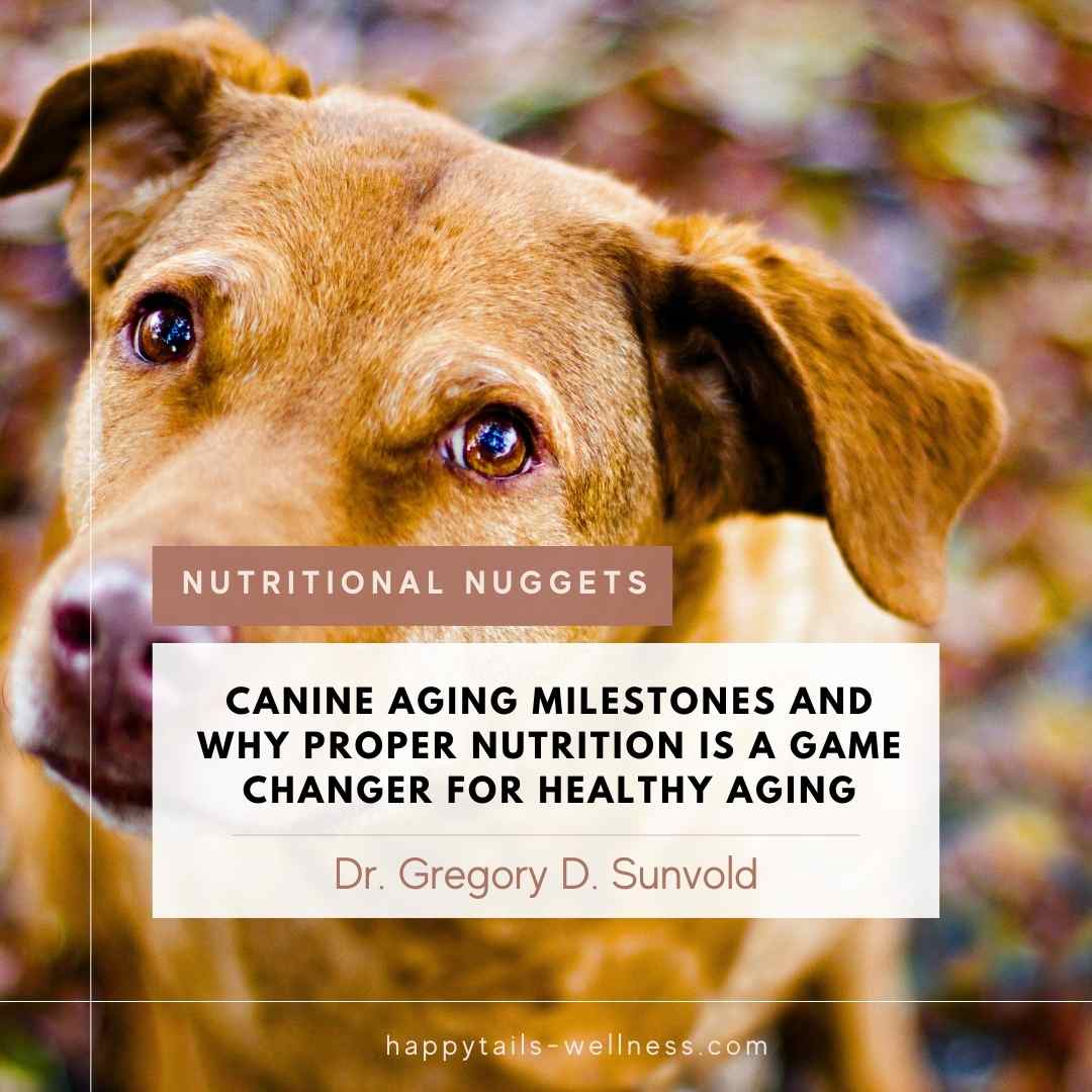 Picture of Canine Aging Milestones and Why Proper Nutrition is a Game Changer for ...