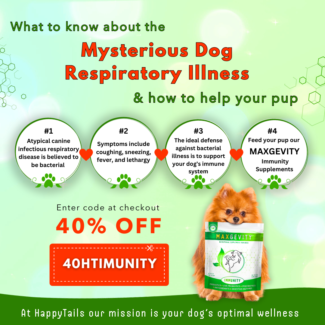 Canine Infectious Respiratory Disease Complex 2025