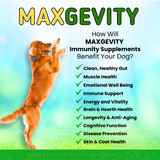 Load image into Gallery viewer, MAXGEVITY Immunity Formula - Digestive + Immunity