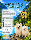 Load image into Gallery viewer, THE CANINE GUT: Built to Heal. Unleash the Power of your Dog’s Gut  &amp; Learn how to Harness it to Achieve Optimal Wellness
