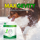 Laden Sie das Bild in den Galerie-Viewer, maxgevity immunity supplements, happytails canine wellness, immune support, ease allergy, itch relief for dogs, gut support for dogs, probiotics for dogs, postbiotics for dogs, prebiotics for dogs, digestive enzymes for dogs, mobility and joint support for dogs, glucosamine for dogs, joint pain relief for dogs