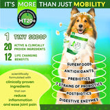 将图片加载到图库查看器，MAXGEVITY Immunity Formula, Nutritional Supplement for Dogs