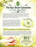 Load image into Gallery viewer, THE CANINE GUT: Built to Heal. Unleash the Power of your Dog’s Gut  &amp; Learn how to Harness it to Achieve Optimal Wellness