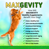 Load image into Gallery viewer, MAXGEVITY Mobility Supplements - Digestive + Joint Health