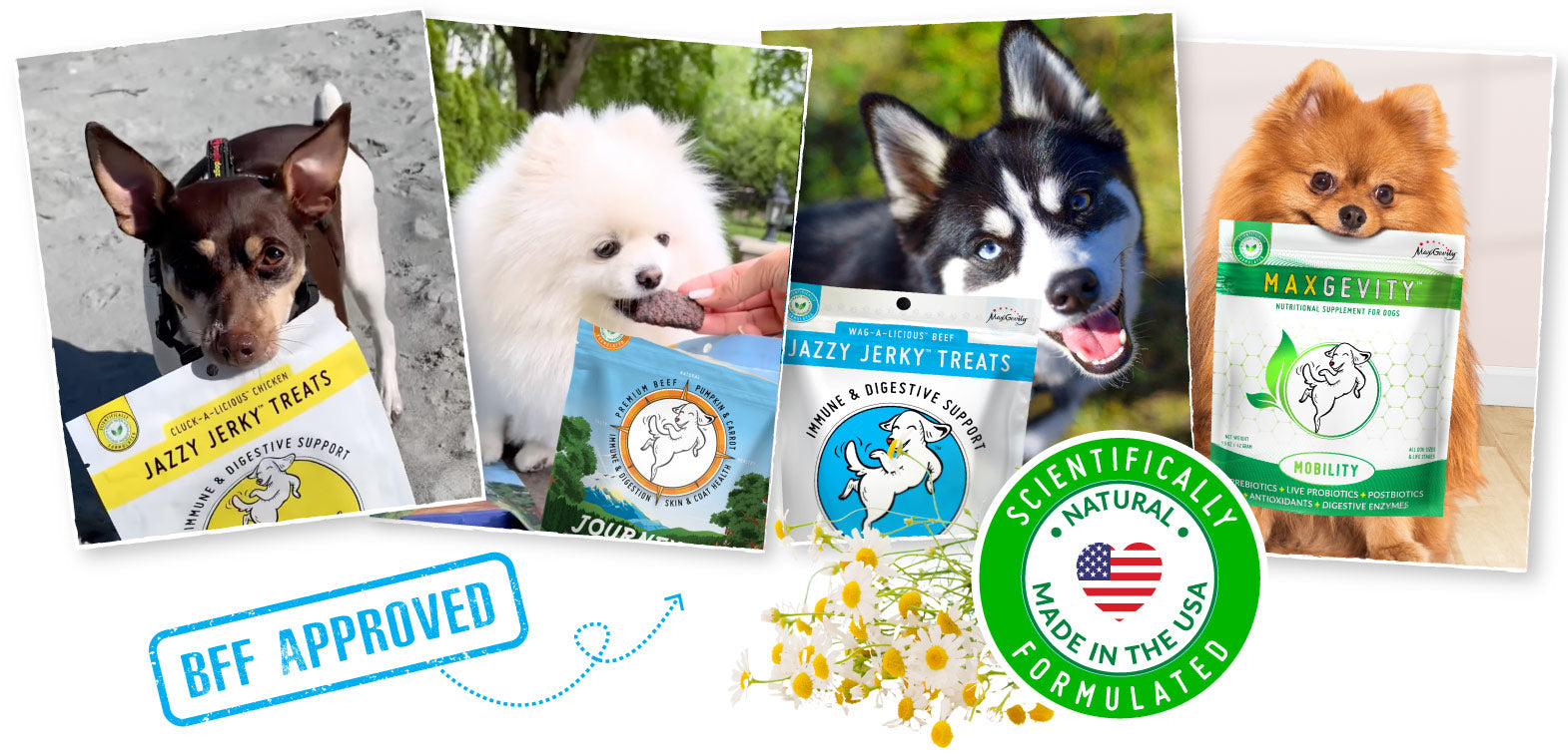 https://happytails-wellness.com/cdn/shop/files/HappyTails-Canine-Wellness-premium-scientifically-advanced-dog-treats-and-nutritional-supplements-only-the-best-for-your-bestie-spring.jpg?v=1677046552