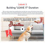 Load image into Gallery viewer, Dog Training Fundamentals  201
