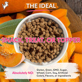 Load image into Gallery viewer, Journey Up™ Treats, Pumpkin Power Up &amp; Berry Glow Up 2-Pack, Journey Up Treats, (Beef, Chicken, Pumpkin &amp; Carrots, Blueberries, Prebiotics, Omega 3s &amp; 6s)  12 oz.