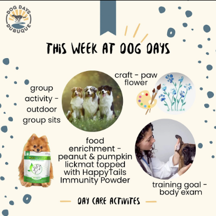 happytails canine wellness images