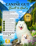 Load image into Gallery viewer, THE CANINE GUT: Built to Heal. The Ultimate Guide to Dog Gut Health, the Canine Microbiome, Advanced Biotics, and Whole-Body Healing That Turns Your Dog's Gut into an Illness-Fighting Superpower