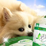 将图片加载到图库查看器，MAXGEVITY™ Immunity Formula, Nutritional Supplement for Dogs