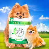 将图片加载到图库查看器，MAXGEVITY™ Mobility Formula, Nutritional Supplements for Dogs