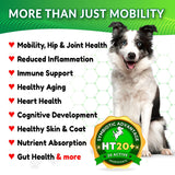 Load image into Gallery viewer, HappyTails, Canine Wellness, maxgevity, immunity, nutritional supplements for dogs, natural ingredients, immune support, gut health, digestive support, live probiotics, prebiotics, and postbiotics, antioxidants, made in usa, health benefits,