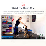 Laden Sie das Bild in den Galerie-Viewer, Dog Training Fundamentals  101